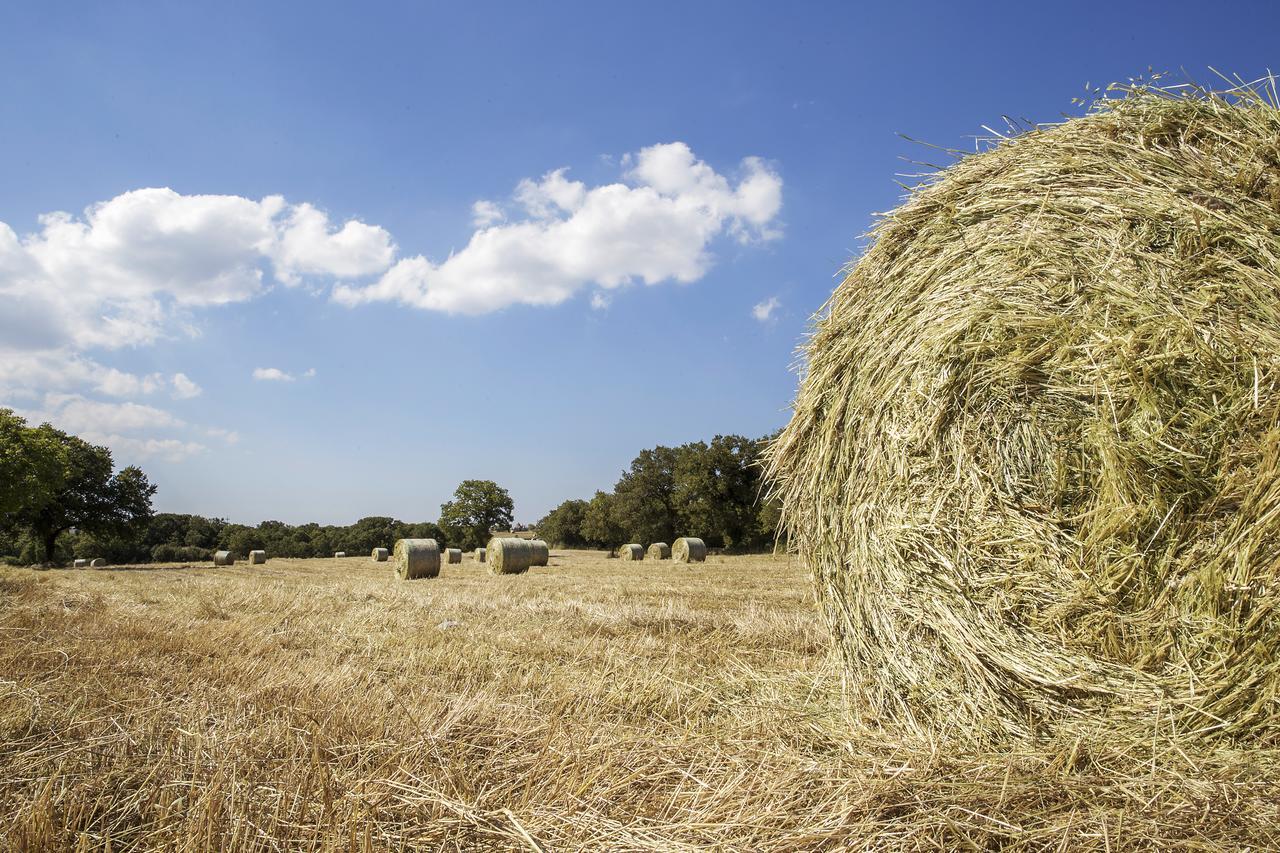 Masseria Cappella مارتينا فرانكا المظهر الخارجي الصورة